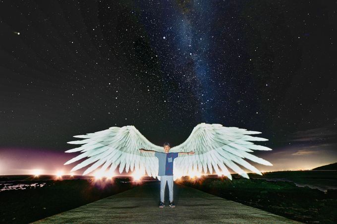 길 위에 선 날개